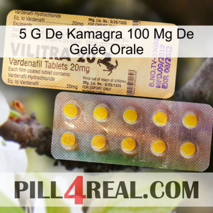 5 G De Kamagra 100 Mg De Gelée Orale new06